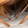 Why Ant Extermination In Greater Orlando Helps Keep Attic Fans Working Smoothly