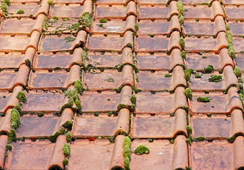 Professional Roofing Inspection for Attic Ventilation in Jasper