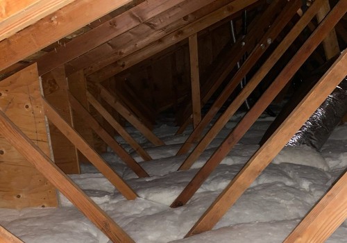 Why Ant Extermination In Greater Orlando Helps Keep Attic Fans Working Smoothly